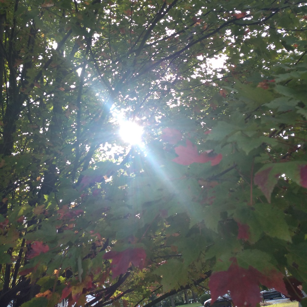 Meet your Posher, Skylar